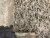 6965ABD7-93D5-4870-BC36-68D88AD6BE28.jpeg