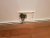 thumbnail_20200424_210150.jpg