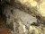 17D2BEE1-AFF7-4848-8ABD-709A4C388F09.jpeg