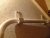 DSCF4110.JPG