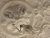 CCE010BD-CED2-48F9-941A-41EAC1B5000F.jpeg