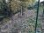 IMG_20201107_171632.jpg
