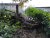 IMG_20201107_171656.jpg