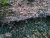 IMG_20201107_171740.jpg