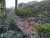IMG_20201107_171754.jpg