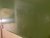 IMG_1065.jpeg