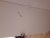 20210206_105851.jpg