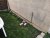 IMG_20210313_161143_compress36.jpg