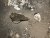 8BAEFF87-A0BA-430C-8442-181BAECF3236.jpeg