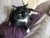 DSCF3919.JPG