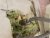 8D83727F-4913-459B-81DE-2D05511B9746.jpeg