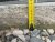 IMG_2468.jpeg