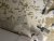 A315B097-4533-477F-A127-DBCC9C5092BC.jpeg