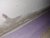 IMG_20211227_164110.jpg