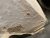 IMG_5337.jpeg