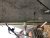 IMG_3907.jpeg