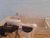 20220913_104726.jpg