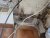 thumbnail_20220929_151220.jpg
