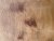 IMG_0121.jpeg