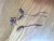 IMG_1876.jpeg