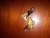 20221204_051444.jpg