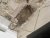A47AC05D-254A-4EA1-8C0D-F4405BC56488.jpeg