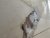 3BABAE88-A16C-47BA-BAD6-11A3468AF357.jpeg