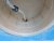 PXL_20230508_160038482_EWXjuQnY71.jpeg