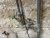 IMG_4709.jpeg