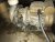 IMG_2484.jpeg