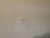 IMG_6581.jpeg