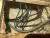 IMG_0922.jpeg
