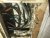 IMG_0923.jpeg
