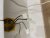 IMG_6739.jpeg