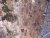 IMG_0193.jpeg
