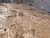 IMG_0195.jpeg