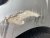 IMG_6661.jpeg