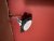 IMG_9960.jpeg
