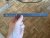 IMG_3233.jpeg