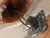 IMG_1451.jpeg