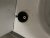 IMG_7565.jpeg