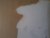 20250719_174457.jpg