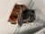 IMG_2956.jpeg