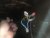 IMG_8054.jpeg