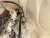 IMG_3508.jpeg