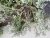 IMG_9097.jpeg