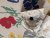 IMG_4707.jpeg