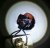 20130528_125046-1.jpg