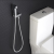 douchette wc 1.PNG