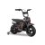 elektrobike-dirtbike-crossbike-250w-24v-eco-flee.jpg